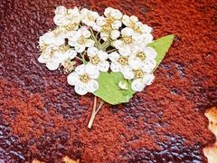 -ChanDu躔度咖啡(灯塔店)