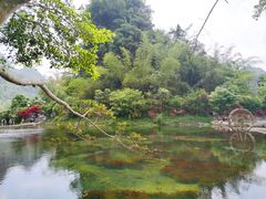 -靖西鹅泉风景区