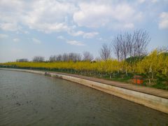 -天津东丽湖风景区