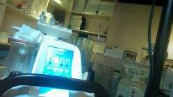 -素颜秀半永久纹眉纹眼线