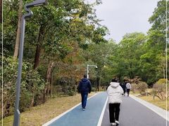 -聚龙山公园