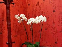 -中国大酒店·食街