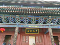 -大槐树寻根祭祖园