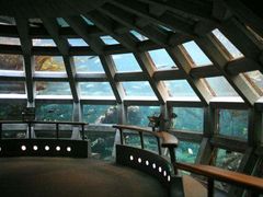 -西雅图水族馆