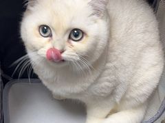 -东莞宠友24H宠物中心医院·转诊夜诊·异宠(新河北路院)