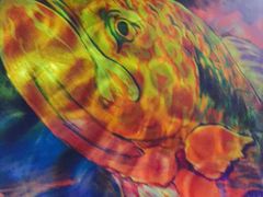 -美滋滋尚鱼烤鱼餐厅(空港店)