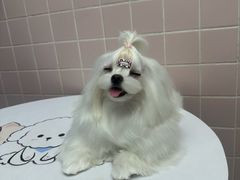 -FAELING PETS美天灵宠物(富力广场店)