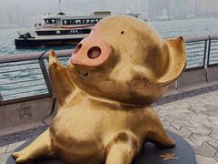 -星光大道