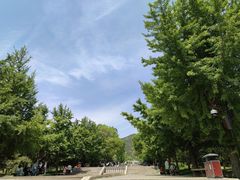 -晋祠公园