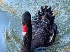 -春晖园度假酒店温泉