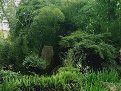-望江楼公园