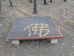-北陵公园