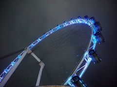 -新加坡摩天观景轮