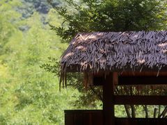 -宁海森林温泉