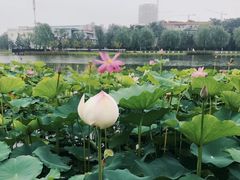 -西海子公园