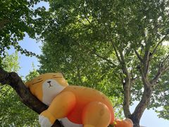 -西安电影制片厂