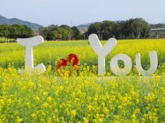 -光明小镇欢乐田园