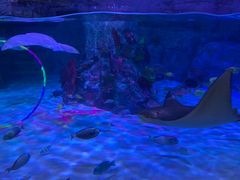 -沈阳海洋探索中心