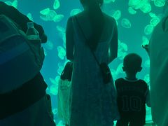 -江和美海洋公园