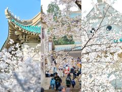 -武汉大学-樱园