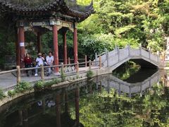 -王顺山国家森林公园