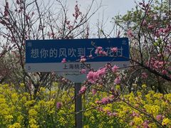 -南汇桃花村