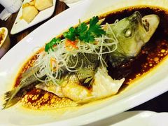 -听香·678茶铺(猛追湾店)