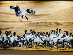 -西藏饭店·亚克·食光自助餐厅