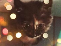 -清真拉妈卤味(回民街店)