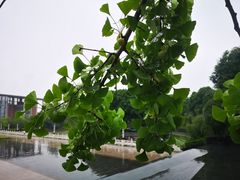 -西南政法大学(渝北校区)