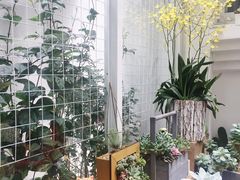 -拾壹cafe·工作室