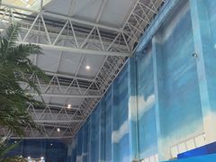 -青岛东方影都融创水世界