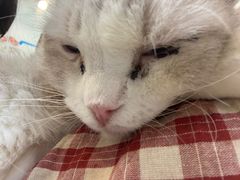 -小小班私人影院·猫咖(万达茂广场店)