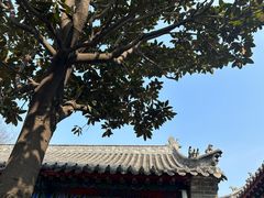 -南阳府衙