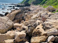 -西涌国际滨海旅游区