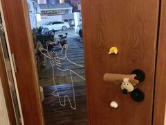 -有猫主题·治愈系猫咖(曾厝垵店)