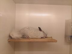 -龙猫仔乐园(惠福东路店)