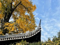 -惠山古镇·寄畅园