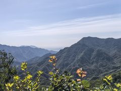 -大岭沟猕猴桃谷风景区