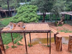 -云南野生动物园
