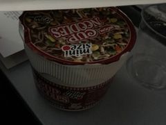 -德国汉莎航空公司