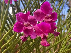 -海南热带野生动植物园