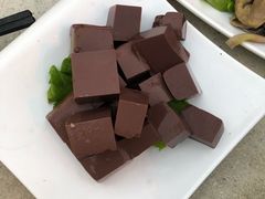 -墨脱石锅椰子鸡•香草鸭•东山羊(大东海店)