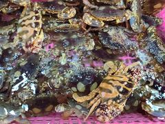 -众味海鲜大排档·活海鲜·潮汕味(南澳店)