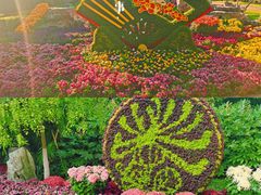 -菊花台公园