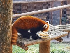 -乐和乐都主题乐园
