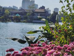 -荔湾湖公园