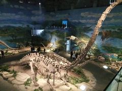 -自贡恐龙博物馆