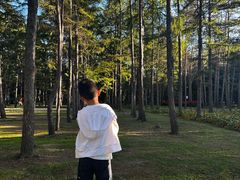 -黑龙江省森林植物园