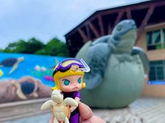 -广东惠东海龟国家级自然保护区